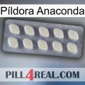 Píldora Anaconda 08